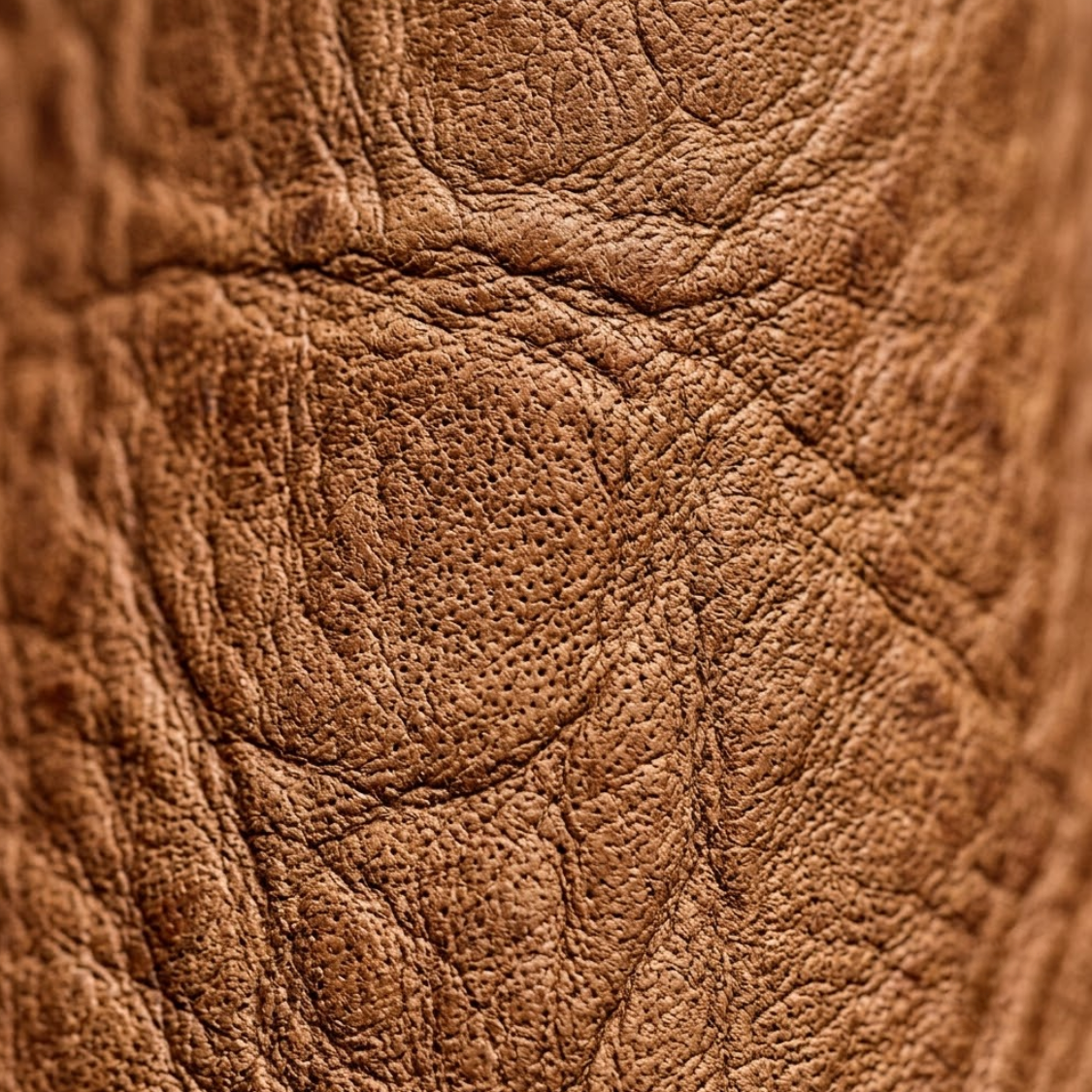 Macro close up of natural full grain leather showing untouched grain texture and pores